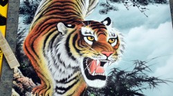 fond ecran tigre 02.jpg